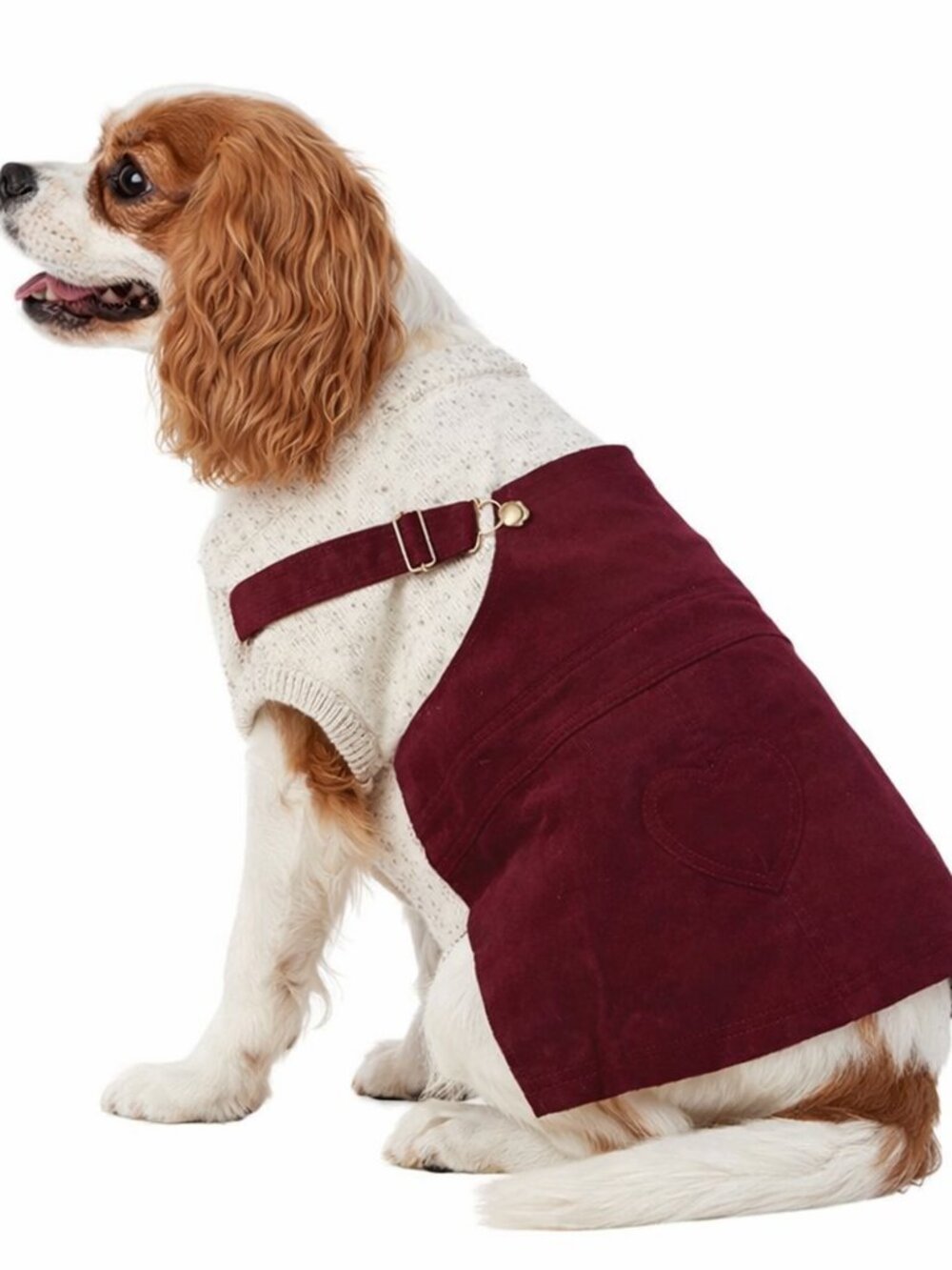 Medium sized dog corduroy sweater suspender dress